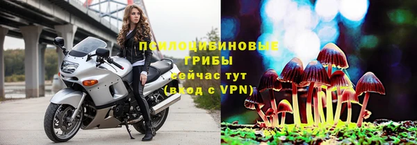 Альфа ПВП Абаза