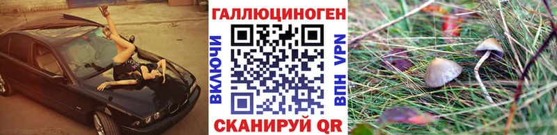 Галлюциногенные грибы мицелий  Скопин 