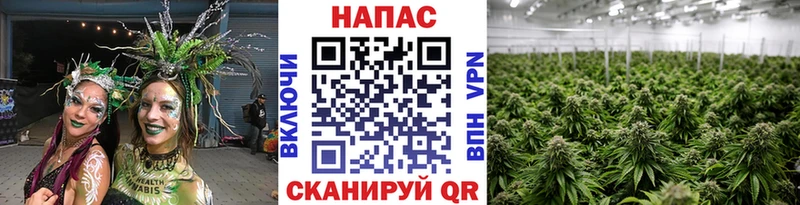 МАРИХУАНА SATIVA & INDICA Скопин
